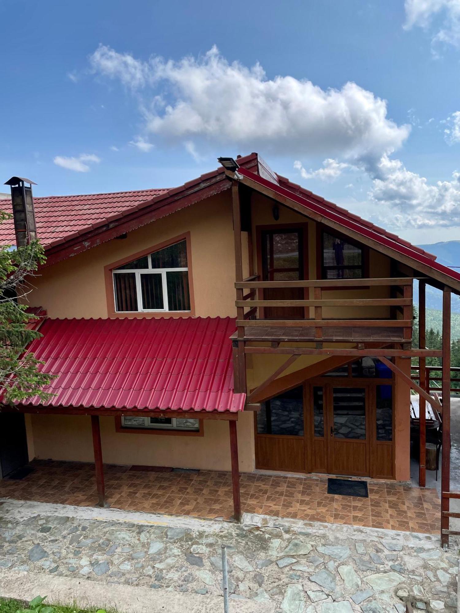 Casa De Vacanta Trei Brazi ルンカ エクステリア 写真