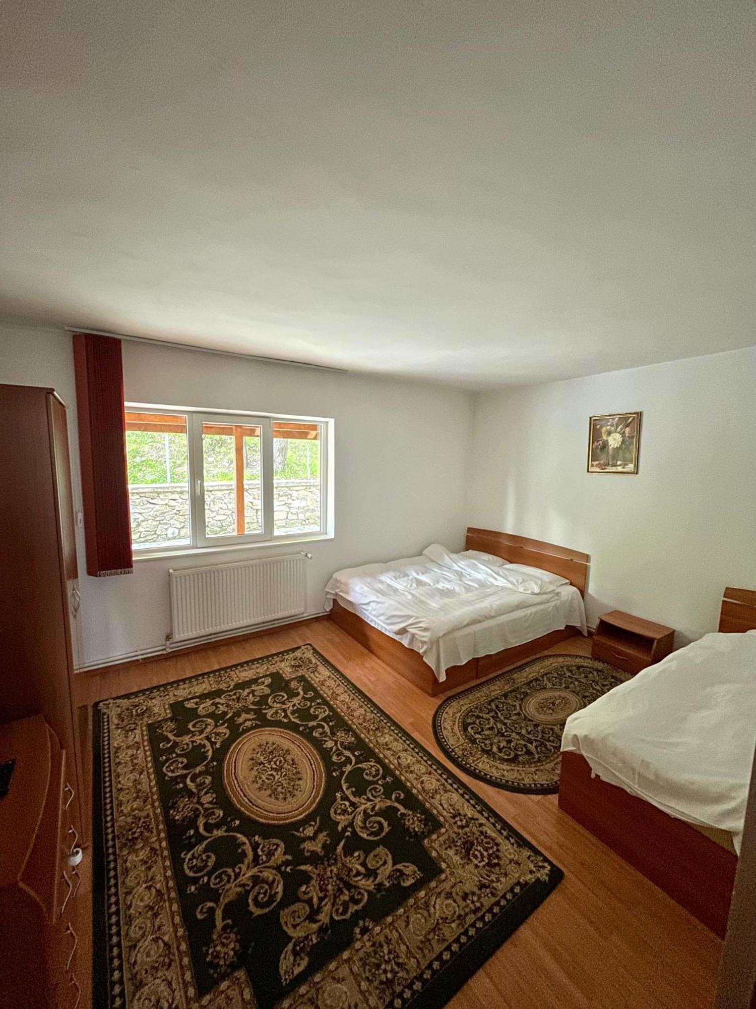 Casa De Vacanta Trei Brazi ルンカ エクステリア 写真